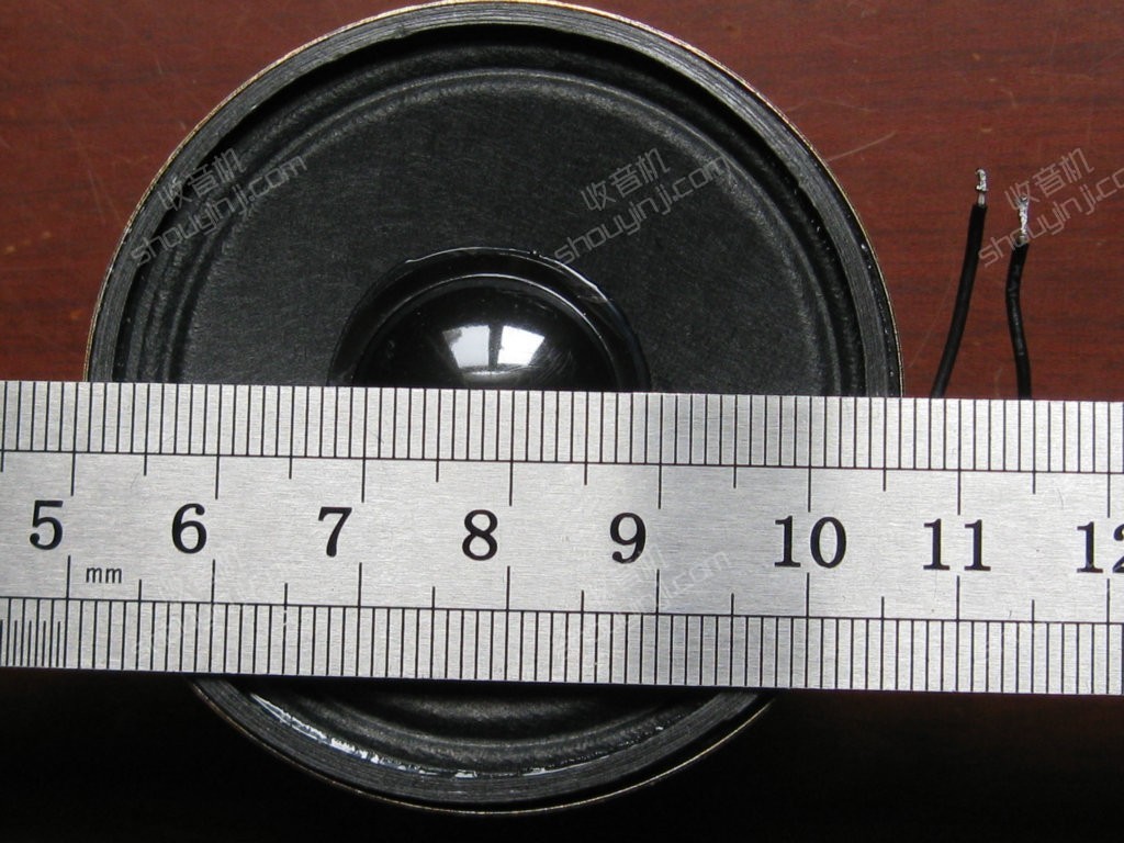 IMG_6031.JPG
